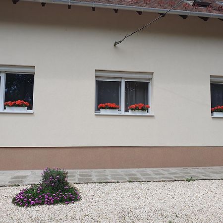 Bella Apartman Szeged Buitenkant foto